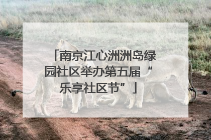 南京江心洲洲岛绿园社区举办第五届“乐享社区节”
