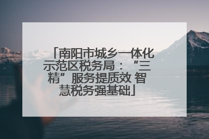南阳市城乡一体化示范区税务局：“三精”服务提质效 智慧税务强基础