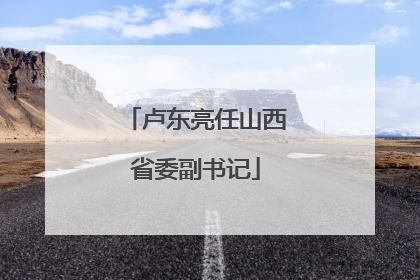 卢东亮任山西省委副书记
