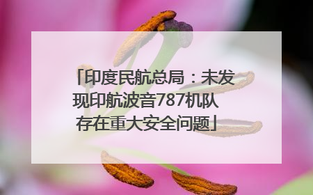 印度民航总局：未发现印航波音787机队存在重大安全问题