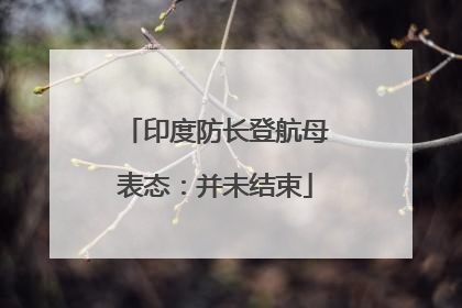 印度防长登航母表态：并未结束