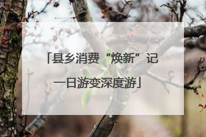 县乡消费“焕新”记 一日游变深度游