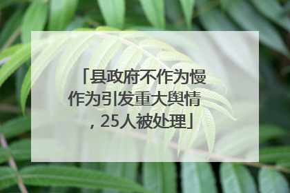 县政府不作为慢作为引发重大舆情，25人被处理
