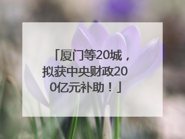 厦门等20城，拟获中央财政200亿元补助！