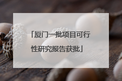 厦门一批项目可行性研究报告获批