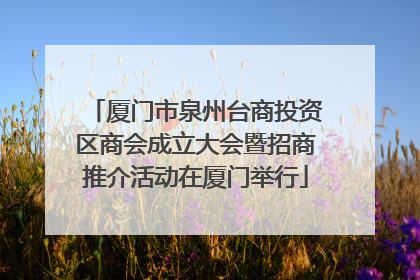 厦门市泉州台商投资区商会成立大会暨招商推介活动在厦门举行