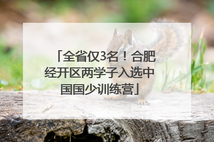 全省仅3名！合肥经开区两学子入选中国国少训练营
