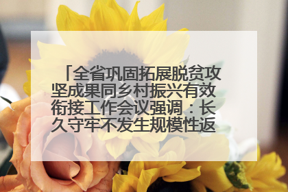 全省巩固拓展脱贫攻坚成果同乡村振兴有效衔接工作会议强调：长久守牢不发生规模性返贫致贫底线 王宁出席并讲话 王予波主持