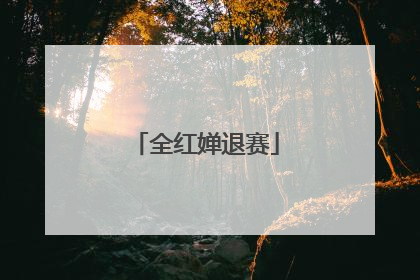 全红婵退赛