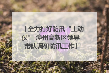 全力打好防汛“主动仗” 漳州高新区领导带队调研防汛工作