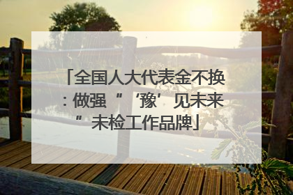 全国人大代表金不换：做强“‘豫’见未来”未检工作品牌
