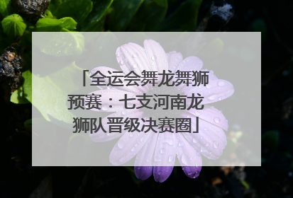 全运会舞龙舞狮预赛：七支河南龙狮队晋级决赛圈