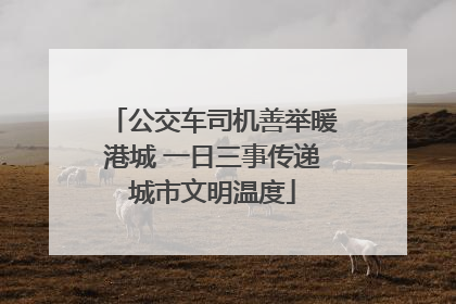 公交车司机善举暖港城 一日三事传递城市文明温度