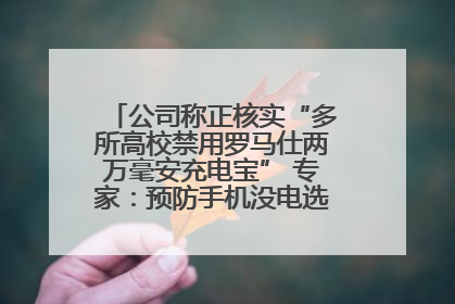 公司称正核实“多所高校禁用罗马仕两万毫安充电宝” 专家：预防手机没电选中等体积产品即可