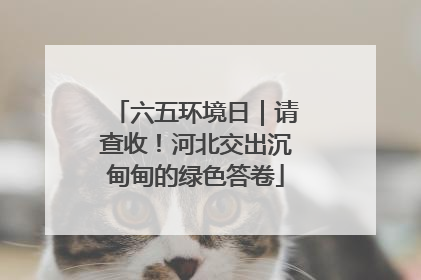 六五环境日｜请查收！河北交出沉甸甸的绿色答卷
