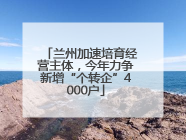 兰州加速培育经营主体，今年力争新增“个转企”4000户
