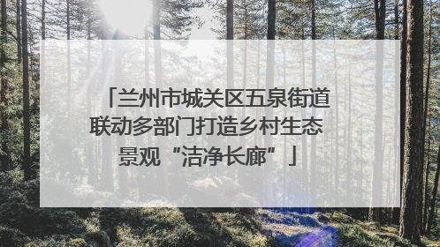 兰州市城关区五泉街道联动多部门打造乡村生态景观“洁净长廊”