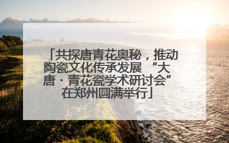 共探唐青花奥秘，推动陶瓷文化传承发展 “大唐・青花瓷学术研讨会”在郑州圆满举行