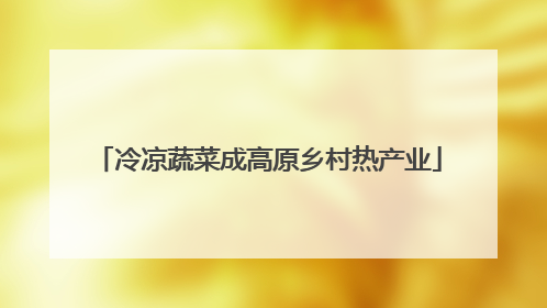 冷凉蔬菜成高原乡村热产业