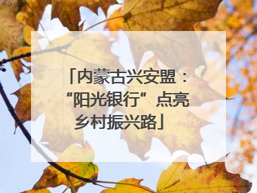 内蒙古兴安盟：“阳光银行”点亮乡村振兴路