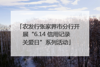农发行张家界市分行开展“6.14 信用记录关爱日”系列活动