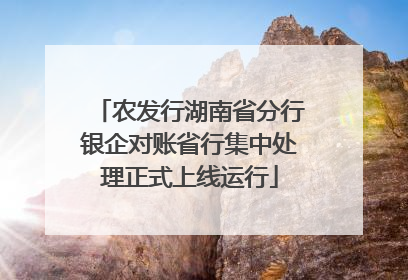 农发行湖南省分行银企对账省行集中处理正式上线运行