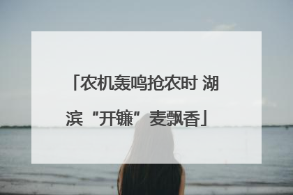 农机轰鸣抢农时 湖滨“开镰”麦飘香