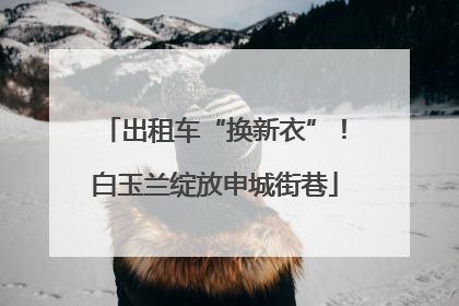 出租车“换新衣”！白玉兰绽放申城街巷