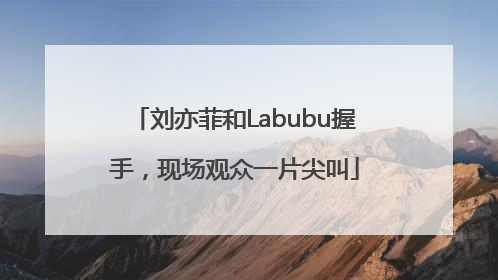 刘亦菲和Labubu握手，现场观众一片尖叫