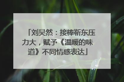 刘昊然：接棒靳东压力大，赋予《温暖的味道》不同情感表达