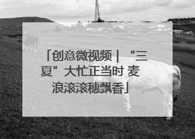 创意微视频｜“三夏”大忙正当时 麦浪滚滚穗飘香