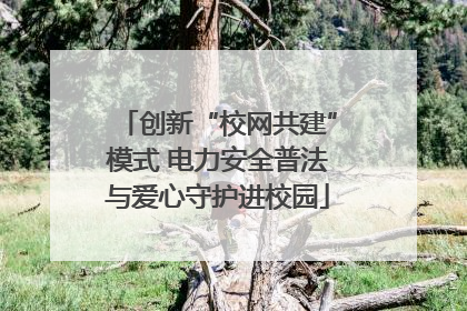 创新“校网共建”模式 电力安全普法与爱心守护进校园