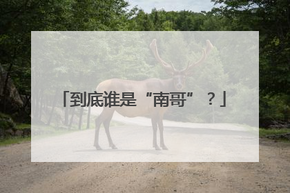 到底谁是“南哥”？