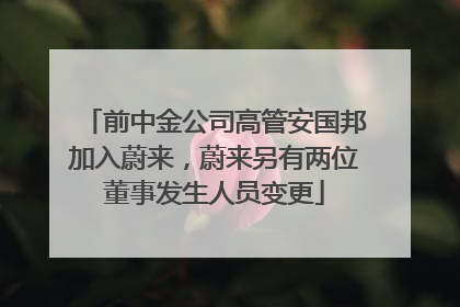 前中金公司高管安国邦加入蔚来，蔚来另有两位董事发生人员变更
