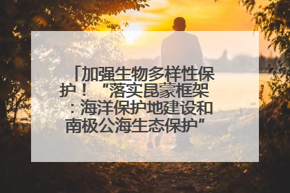 加强生物多样性保护！“落实昆蒙框架：海洋保护地建设和南极公海生态保护”主题论坛将举办