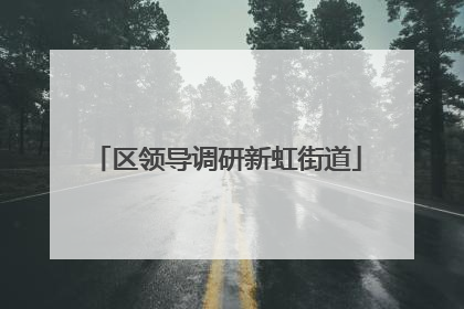 区领导调研新虹街道