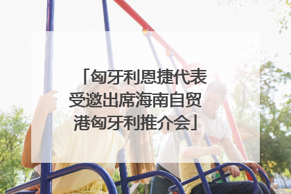 匈牙利恩捷代表受邀出席海南自贸港匈牙利推介会