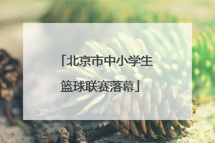 北京市中小学生篮球联赛落幕