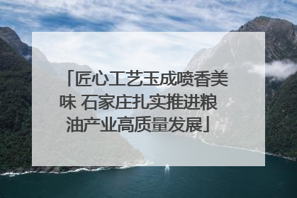 匠心工艺玉成喷香美味 石家庄扎实推进粮油产业高质量发展