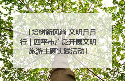 培树新风尚 文明月月行｜四平市广泛开展文明旅游主题实践活动