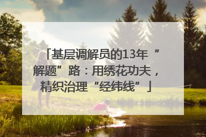 基层调解员的13年“解题”路：用绣花功夫，精织治理“经纬线”