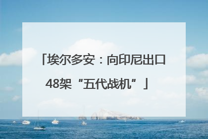 埃尔多安：向印尼出口48架“五代战机”