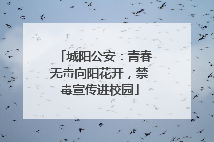 城阳公安：青春无毒向阳花开，禁毒宣传进校园