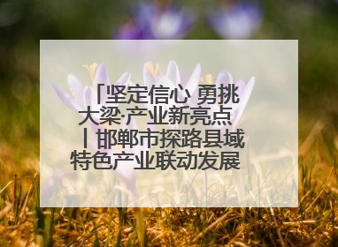 坚定信心 勇挑大梁·产业新亮点丨邯郸市探路县域特色产业联动发展：飞地，为好项目跨域安个家