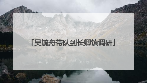吴毓舟带队到长卿镇调研