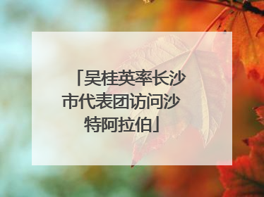 吴桂英率长沙市代表团访问沙特阿拉伯