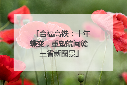 合福高铁：十年蝶变，重塑皖闽赣三省新图景
