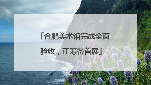 合肥美术馆完成全面验收，正筹备首展