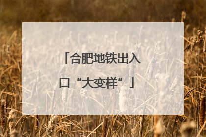 合肥地铁出入口“大变样”