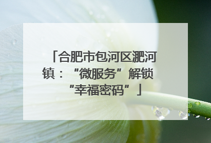 合肥市包河区淝河镇：“微服务”解锁“幸福密码”